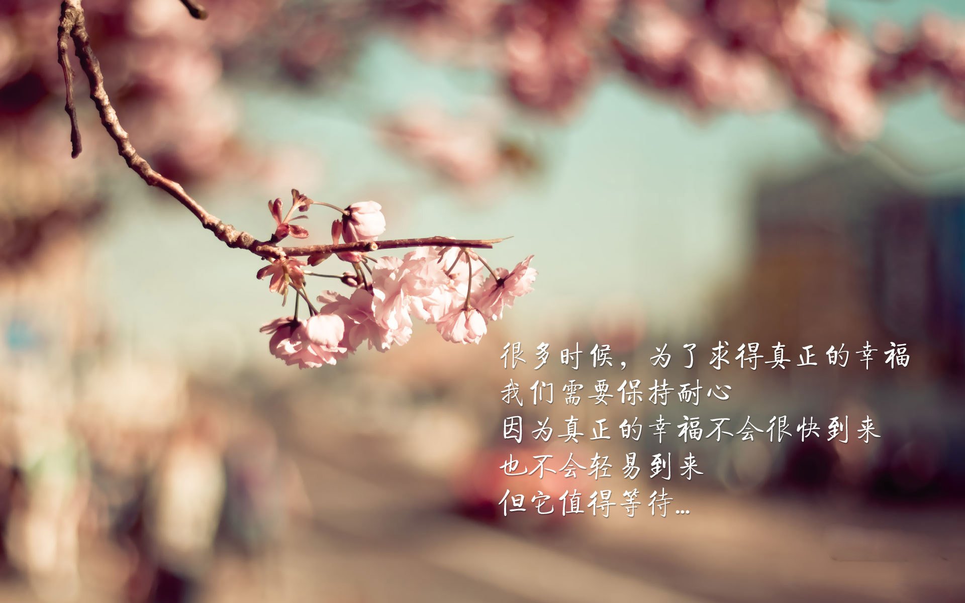 2026 世界杯高清直播源整理：哪些平台可以看 8K 画质？，2022世界杯直播平台